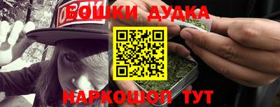 дмт Аргун