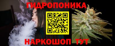 крисы Апшеронск