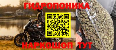 крисы Апшеронск