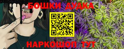 дмт Аргун