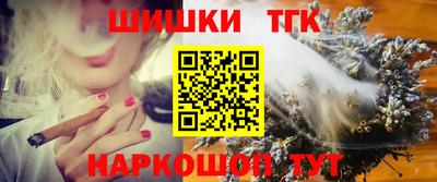 дмт Аргун