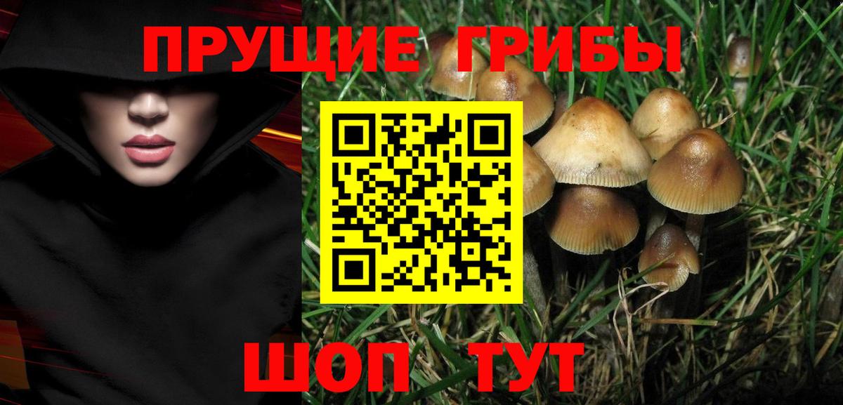 Галлюциногенные грибы мухоморы  Вход с VPN  Боровичи 